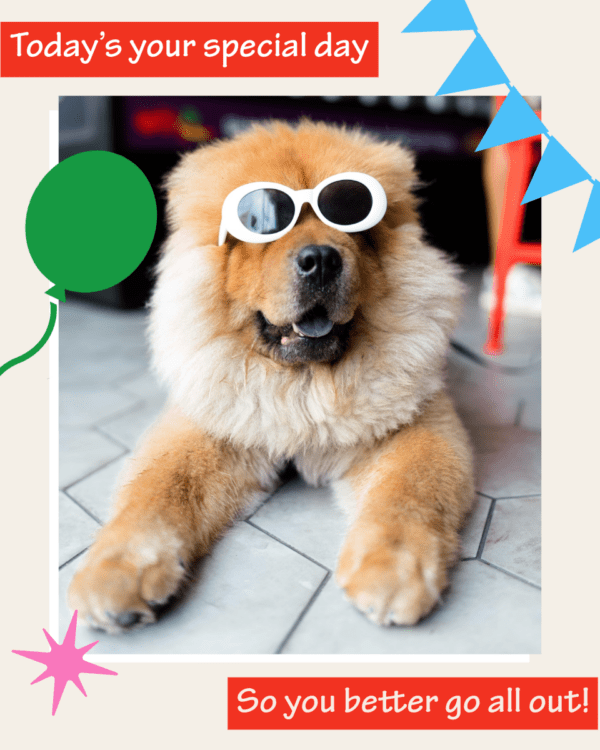 Dog - Image 2